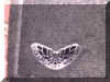 143-4361_IMG.JPG (89224 bytes)